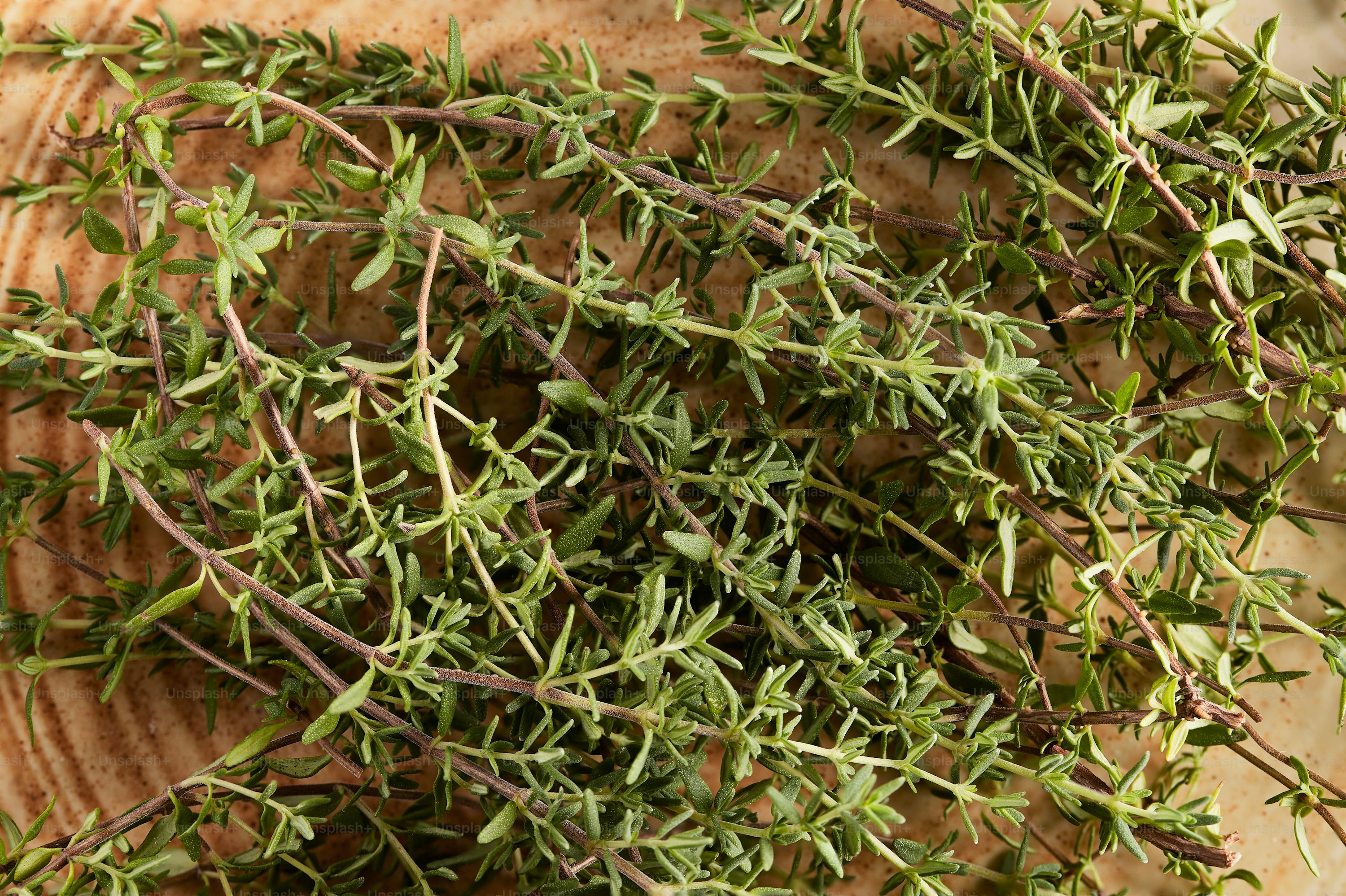 Fresh rosemary, thyme and oregano